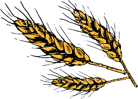 spikelets